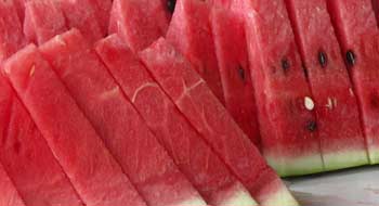DIETA DE LA SAND�A