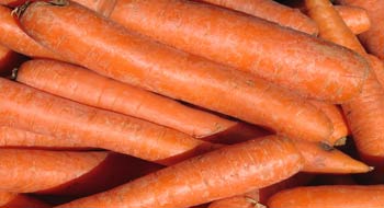 DIETA DE LA ZANAHORIA