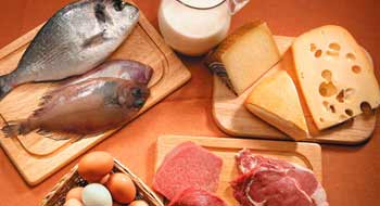 DIETA DE LAS PROTE�NAS