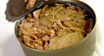 DIETA DEL AT�N