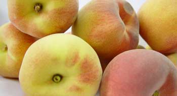 DIETA DEL MELOCOT�N