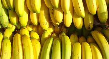 DIETA DEL PL�TANO