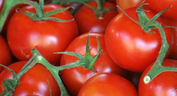DIETA DEL TOMATE