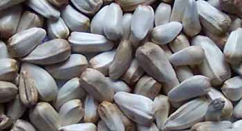 El Aceite de C�rtamo