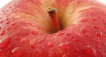 La Manzana