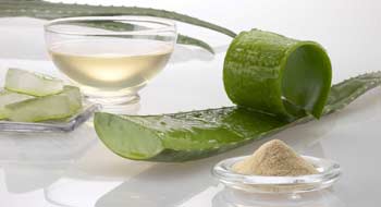 Sirope de Agave