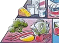 La pir�mide de los alimentos