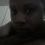 jclady