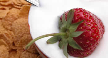 DIETA DEL D�A DE LA ELIMINACI�N