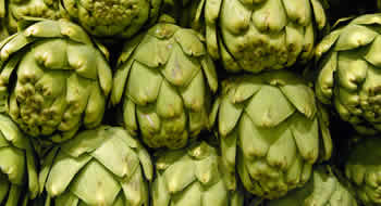 DIETA DE MANTENIMIENTO
