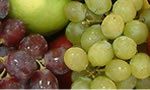 Dietas DE FRUTAS