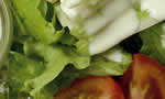 Dietas PARA VEGETARIANOS