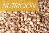 Canal Nutrici�n