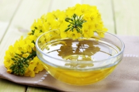 4 Increíbles BENEFICIOS Del Aceite De Canola