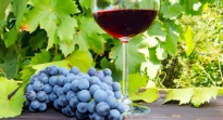 Beneficios del resveratrol