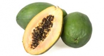 LA PAPAYA