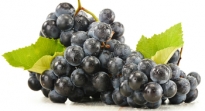 Mira cómo bajar de peso con la dieta de la uva