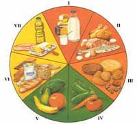 La Rueda de los Alimentos